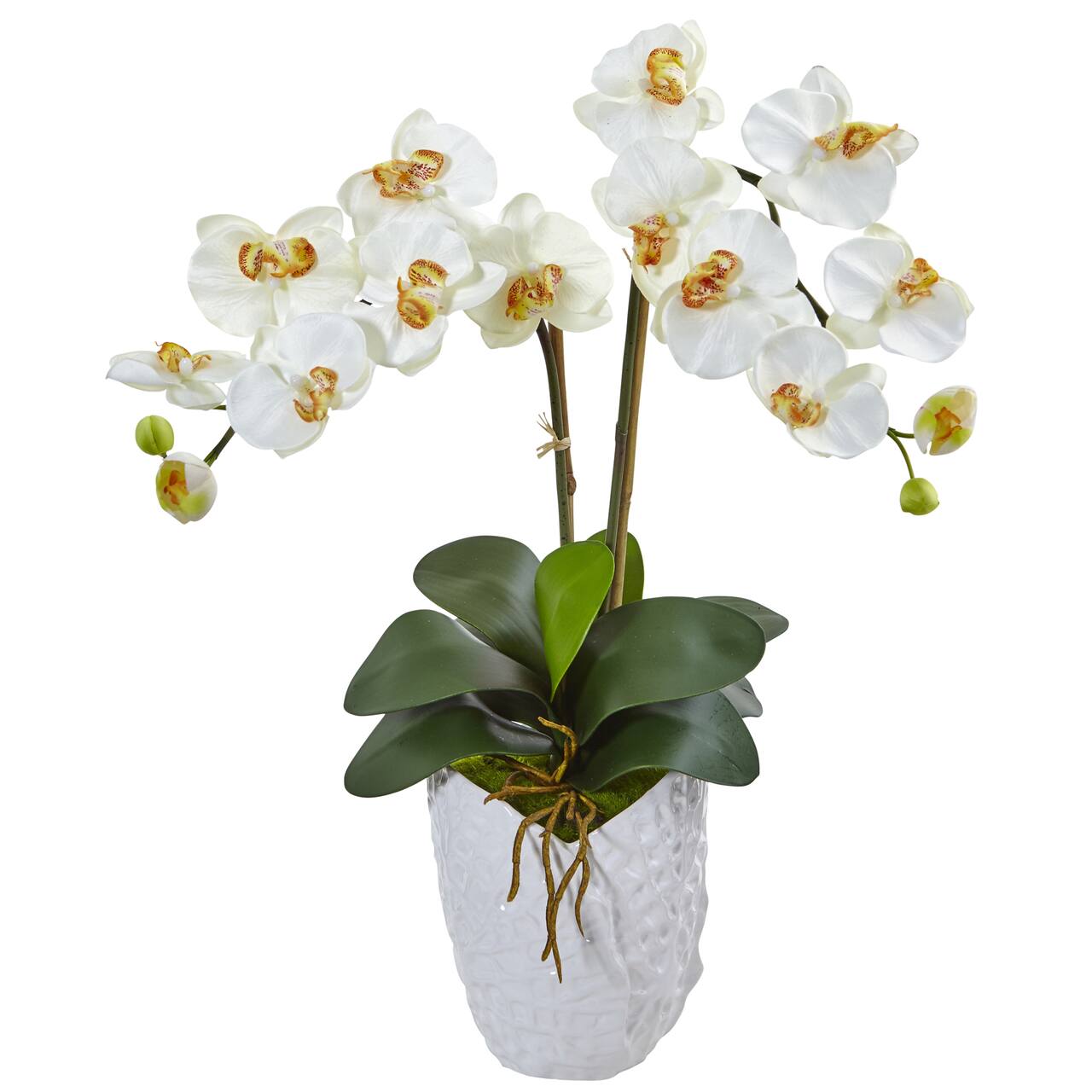 23" White Double Stem Orchid Arrangement in White Textured Vase